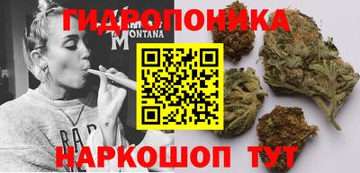 прущие крисы Донецк