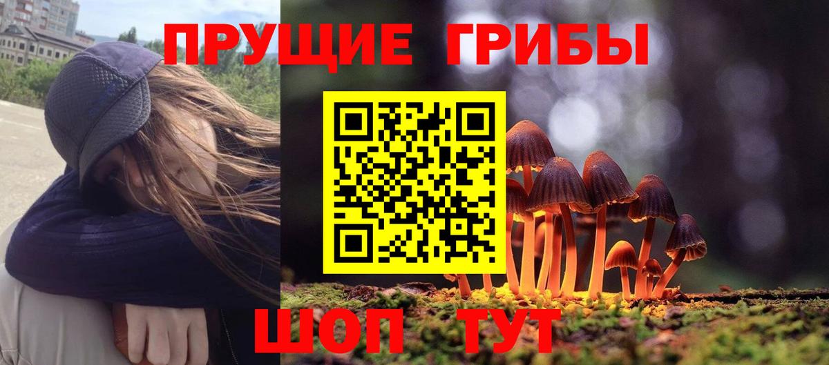 даркнет сайт  Вход с VPN  Псилоцибиновые грибы прущие грибы  Аксай  Галлюциногенные грибы Psilocybe 